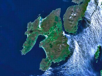 Los restos emergen en la