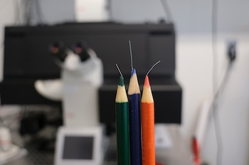 In undated image from John Burns, the bespoke colored pencil/brush instrument he used. A scrappy science project that Burns took part in came to a significant discovery: two new species of Paulinella, a rare single-celled organism that could elucidate a fundamental transition in the history of life on our planet. (John Burns via The New York Times) — NO SALES; FOR EDITORIAL USE ONLY WITH NYT STORY SCI MICROBE DISCOVERY 4 BY CAROLYN JOHNSON FOR September 28, 2026. ALL OTHER USE PROHIBITED. —
