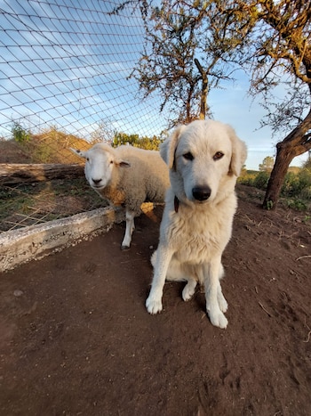 Otros habitantes de la reserva