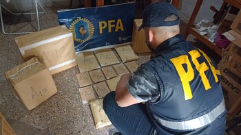 La PFA en un allanamiento: