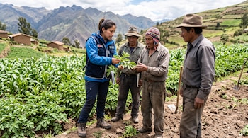 Una mujer con chaleco azul y tres hombres con sombrero examinan las hojas de una planta verde en un campo de cultivo frente a montañas.
