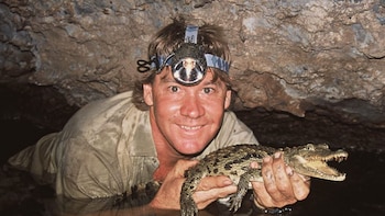 La leyenda de Steve Irwin, “el cazador de cocodrilos”: el hombre que desafió a los animales más peligrosos y su inesperada muerte