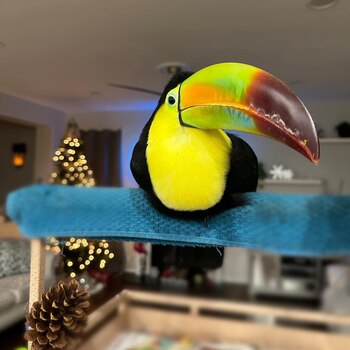 Touki escapó de un trágico