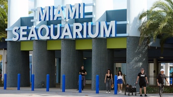 Miami-Dade analiza un plan para construir una bahía marina gigante en el antiguo Seaquarium