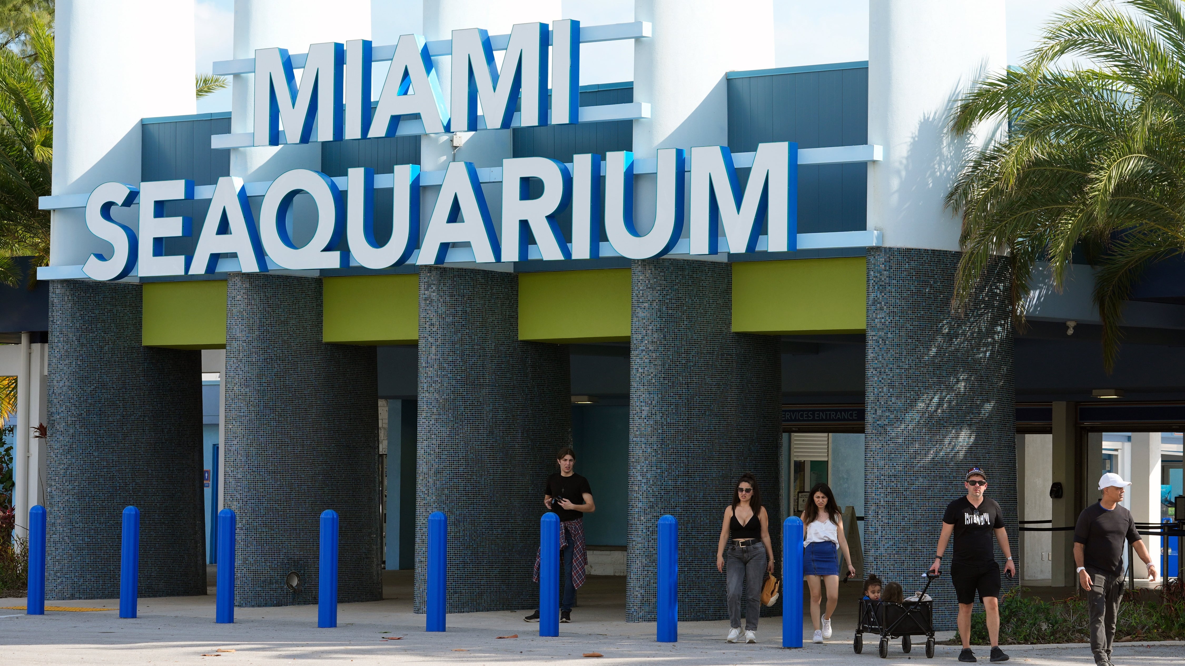 Miami-Dade estudia una bahía marina gigante en el antiguo Seaquarium y crece la alarma ambiental