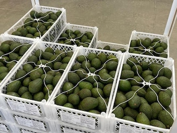 Muchas personas señalaron en redes