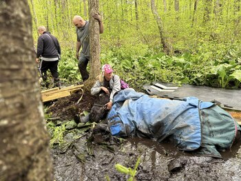 Bomberos encontraron a los caballos parcialmente de costado con las patas enterradas en el barro. (Facebook/Jeanna Prink).
Caballos, animales, mascotas, rescate animal, lodo, Connecticut, Estados Unidos, equinos