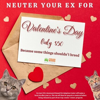 Los voluntarios utilizarán el dinero