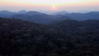 Un equipo de científicos y