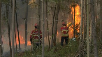 Desde Portugal hasta Grecia, los