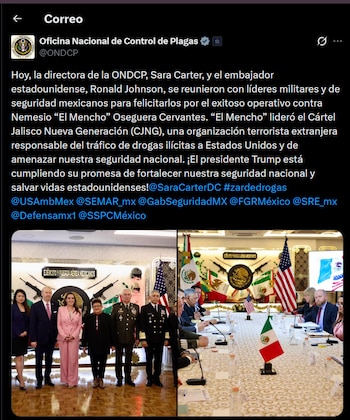 Sara Ann Carter, directora antidrogas