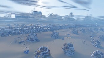 De funcionar, los arrecifes híbridos