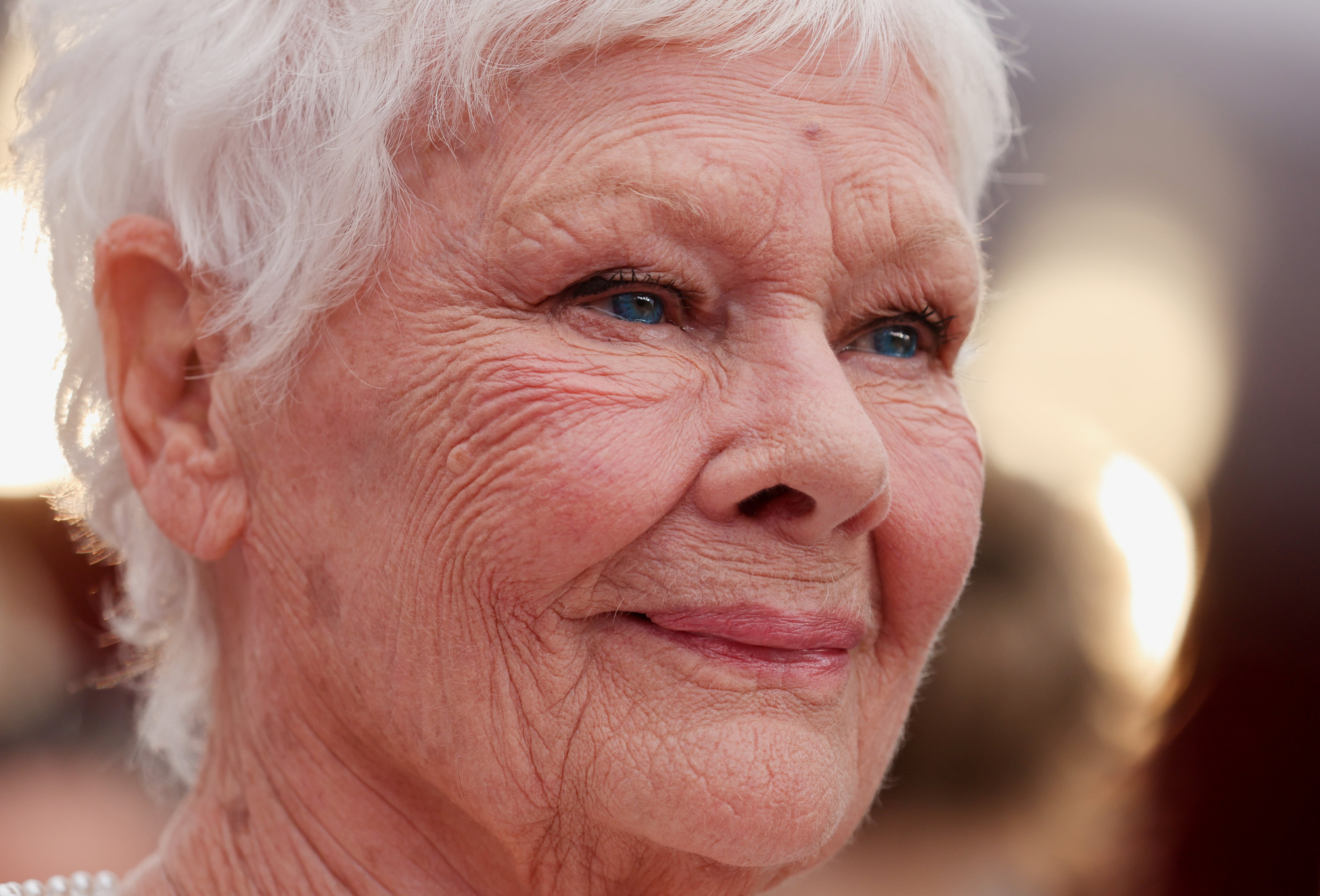 Judi Dench se lamentó por la fallida película de Cats: “Qué desperdicio de buena voluntad y talento”