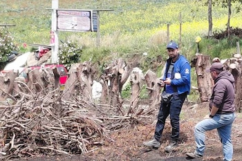 La CAR decomisó 42 unidades de madera de ciprés por acopio ilegal en la vereda San Jorge, municipio de Soacha - credito CAR