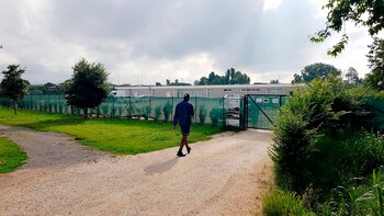 Mario Balotelli fue recibido por