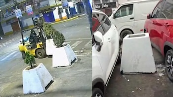 Los maceteros fueron robados durante