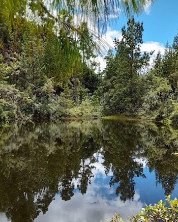 El cuerpo hídrico de la Laguna de Normandía posee una silueta en forma de corazón rodeada de bosques (Facebook/La Romera Corporación)