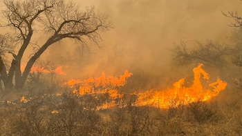 Al menos un muerto y