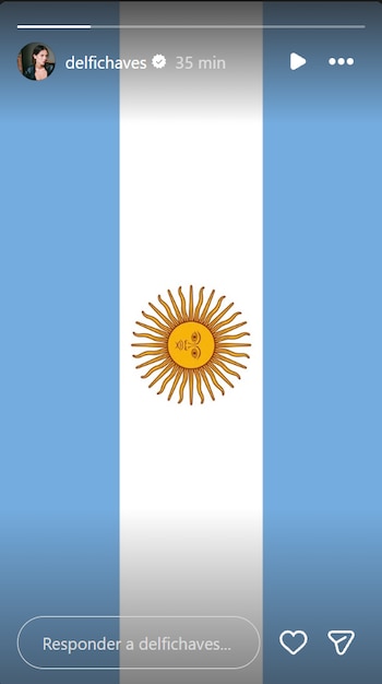 Bandera de Argentina con franjas celeste, blanca y celeste y el Sol de Mayo. Perfil de Delfina Chaves con icono de verificación y botones de interacción de red social