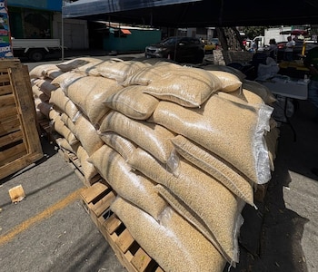 La Mesa Agropecuaria de El Salvador advierte que la subida del maíz obedece a prácticas especulativas y no a escasez./(Redes de Óscar Domínguez)