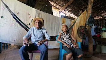 Sequía pone a prueba la alimentación de miles de familias en el Corredor Seco