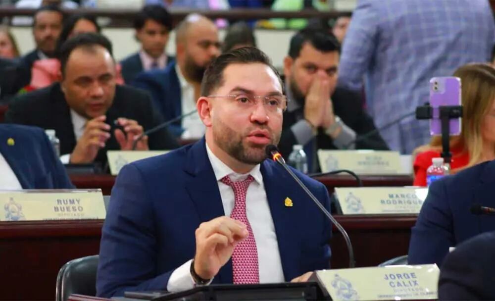 El Partido Nacional señaló a magistrados suplentes y al Partido Libre como responsables de paralizar deliberadamente sesiones del Tribunal de Justicia Electoral. (Foto: Congreso Nacional )
