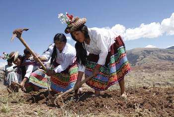 Para actualizar el valor de los Bonos de la Reforma Agraria, el Estado convierte el monto original a dólares según el tipo de cambio vigente al momento de su emisión.
