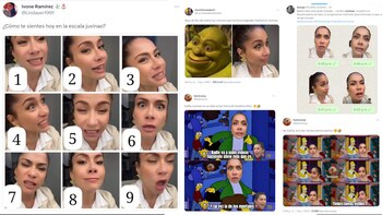 Memes contra Carherine Juvinao por video en el que critica al presidente Petro. (Captura de pantalla)