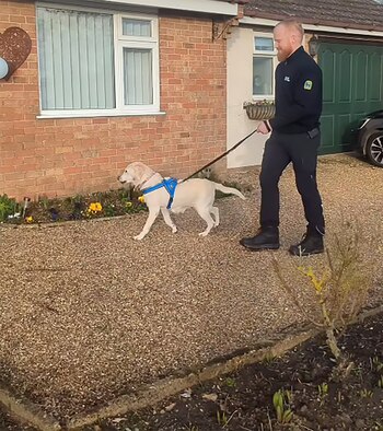 Daisy no regresó en las