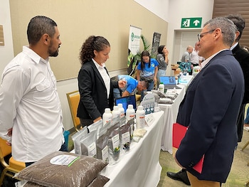 La profesionalización empresarial es clave para garantizar la continuidad de los negocios familiares en el tiempo. Cortesía: CATIE