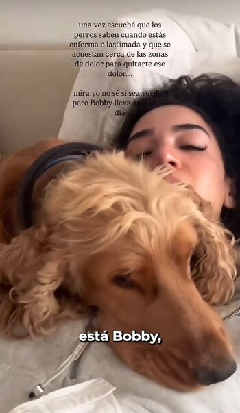 (IG: @alecapetilloga)