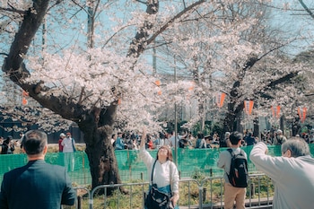 Imagen W2ZI3ZYC55BILA7SLY7CQ7W6TM