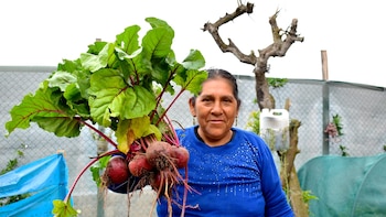 Inseguridad alimentaria fuera del debate
