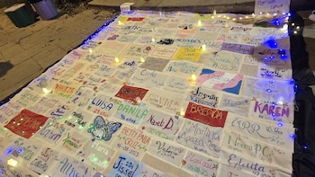 Diversas agrupaciones llaman a la