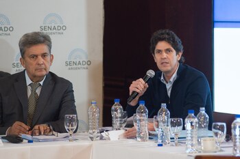 El senador Martín Lousteau planteó