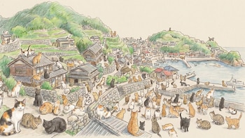 Aoshima: la isla abandonada que es dominada por los gatos