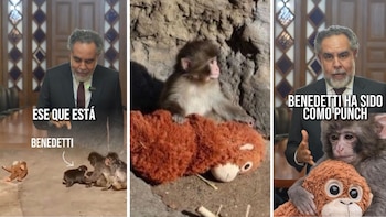 Armando Benedetti se solidarizó con