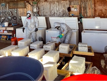 Foto: Departamento de Justicia de