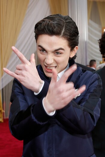 Chalamet podría ser el nuevo