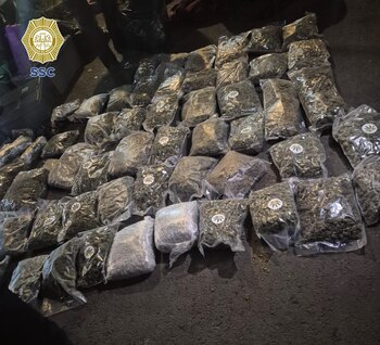 Los paquetes con presunta droga