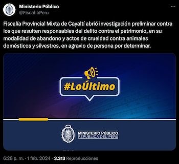 Fiscalía en Chiclayo iniciará investigación contra responsables de maltrato animal hacia 'Manchas', perrito enterrado vivo en cementerio.