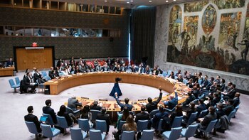 El Consejo de Seguridad de