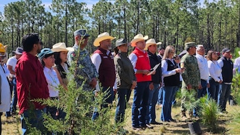 Lotería Nacional acompaña arranque de jornada nacional de reforestación en Durango