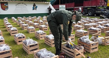 Gendarmería secuestró 31 kilos de