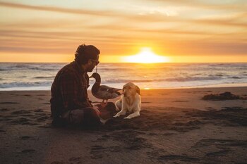 El plan de Jiménez no