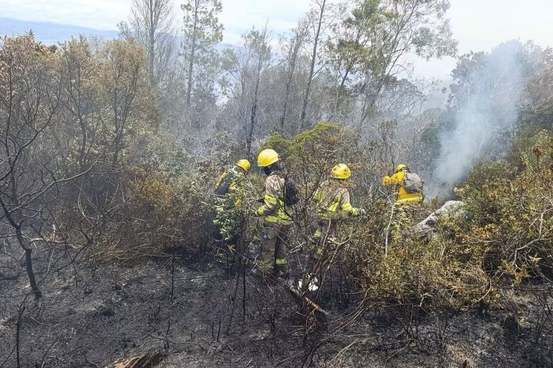 El incendio en el cerro de San Marcos alcanzó un 90 % de control según los reportes oficiales - crédito Ungrd/X