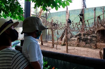 Una familia visita el zoológico