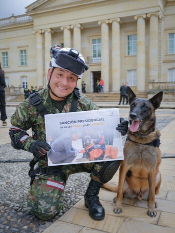 La Ley Lorenzo establece el