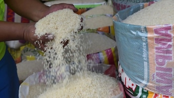 Precio del arroz en Piura baja de 85 a 50 soles por saco: agricultores solicitan revisión de importaciones