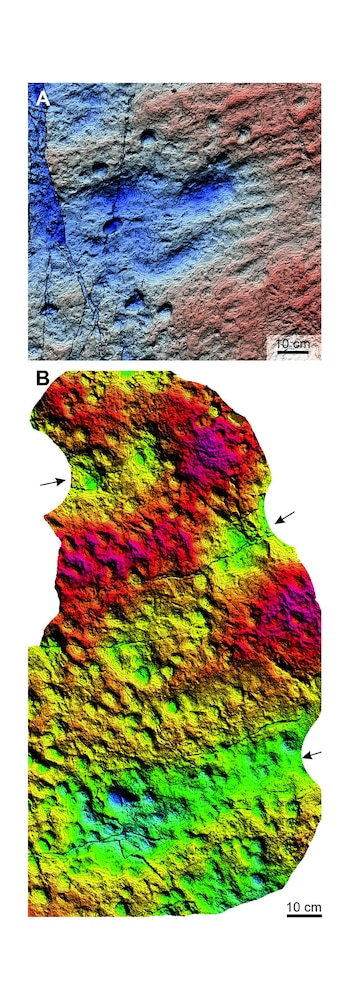El estudio publicado en Scientific